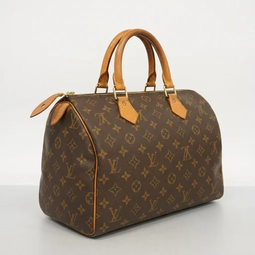Louis Vuitton Speedy 30 Handbag